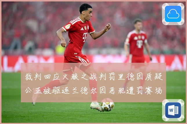 裁判回应火狼之战判罚里德因质疑公正被驱逐兰德尔因恶犯遭罚赛场复盘：最新赛事动态与深度分析