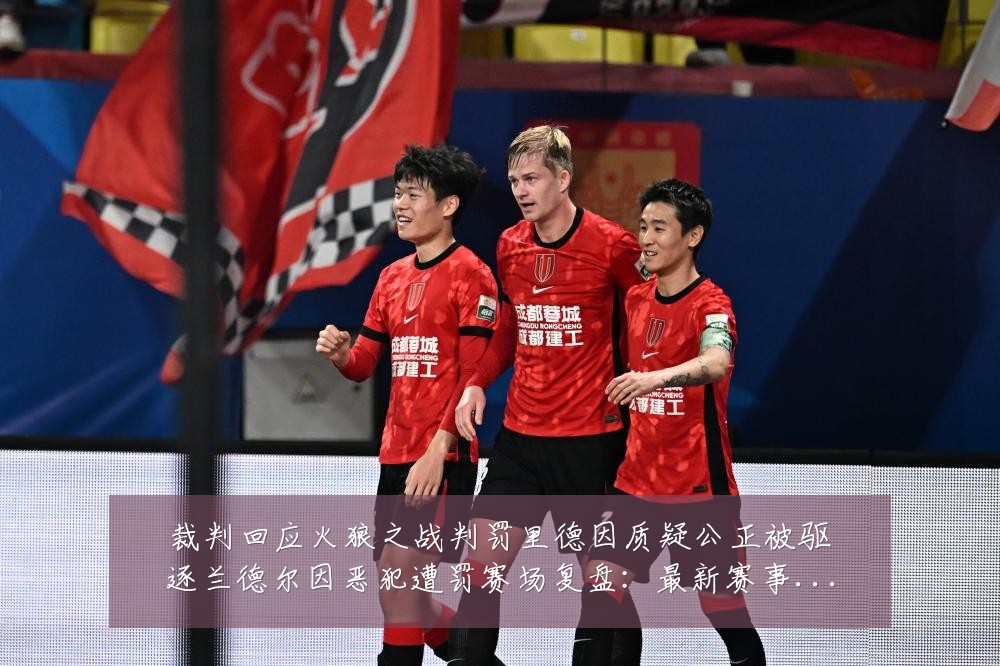 裁判回应火狼之战判罚里德因质疑公正被驱逐兰德尔因恶犯遭罚赛场复盘：最新赛事动态与深度分析